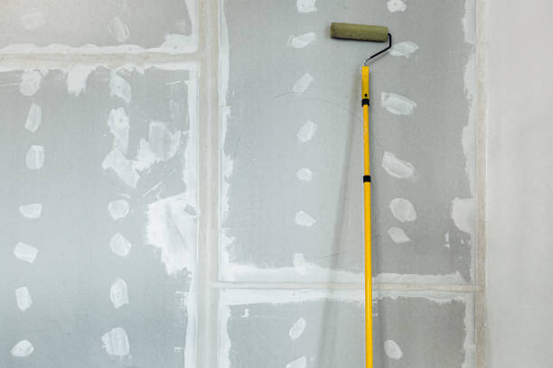 Best Attic Mold Removal  in Vley Grande, AL