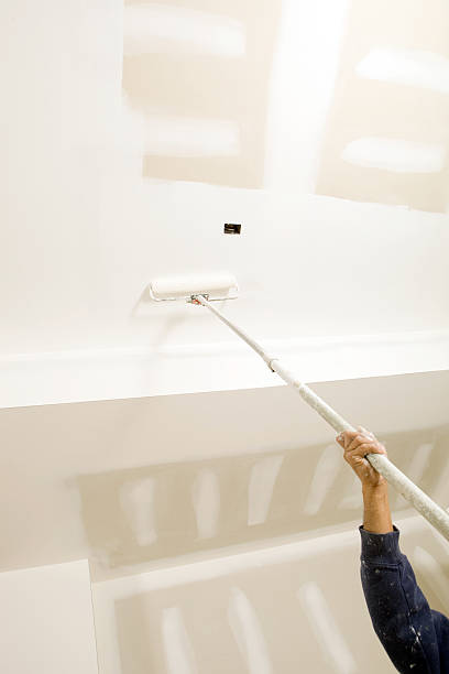 Best Mold Documentation for Insurance Claims  in Vley Grande, AL