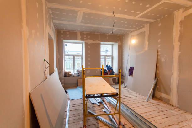 Best Black Mold Removal  in Vley Grande, AL