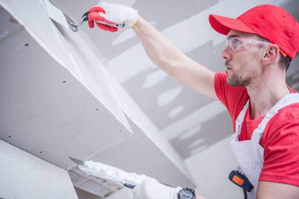 Best Forensic Mold Investigation  in Vley Grande, AL